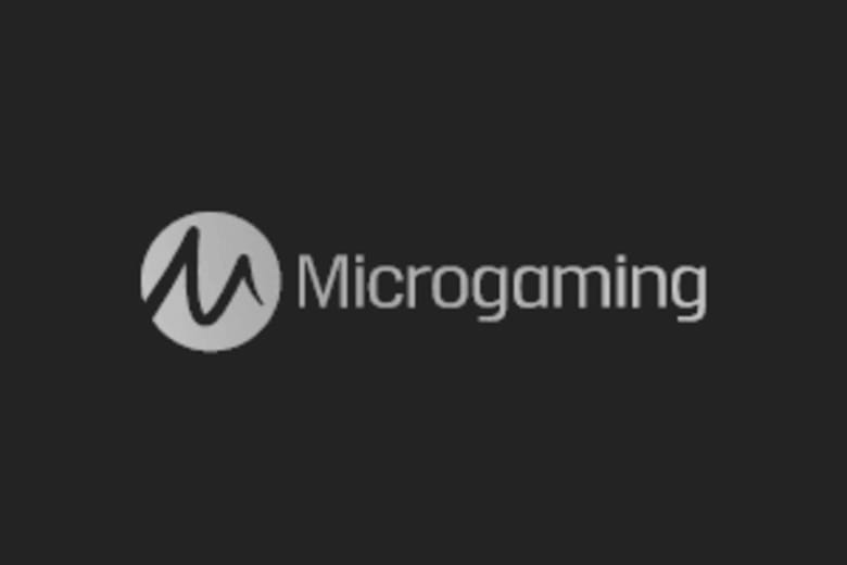 Die 10 besten Microgaming Online-Casino 2025